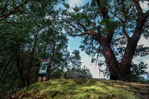 BIB: 
                            <button type="button" onclick="openModal(28597210)" class="btn btn-primary btn-sm float-right btn-popup" data-toggle="modal" data-target=".modal-high-quality">
                        <i class="fas fa-shopping-cart"></i> Add to Cart
                    </button>
                                            <button type="button" onclick="isThisMe(28597210, true)" class="btn btn-success btn-sm float-right btn-popup btn-isme hidden" data-toggle="tooltip" data-placement="bottom" title="นี่คือรูปของคุณใช่ไหม คลิกที่นี่เพื่อเอาเข้าอัลบั้ม">
                        <i class="fas fa-plus"></i> Add to album
                    </button>
                    <button type="button" onclick="isThisMe(28597210, false)" class="btn btn-warning btn-sm float-right btn-popup btn-isnotme hidden">
                        <i class="fas fa-ban"></i> Remove from album
                    </button>
